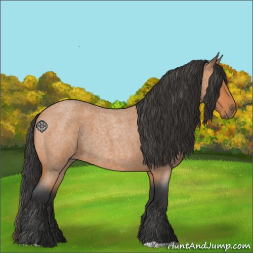 Horse Color:Bay Roan 