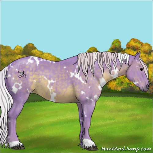 Horse Color:Watercolor White Spotted Silver Black 