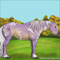 Horse Color:Watercolor White Spotted Silver Black 