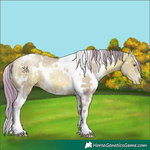 Horse Color:Watercolor White Spotted Bay Pearl 