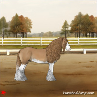 Horse Color:Red Roan Splash 