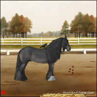 Horse Color:Blue Roan 