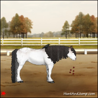 Horse Color:White Spotted Bay Roan Varnish 
