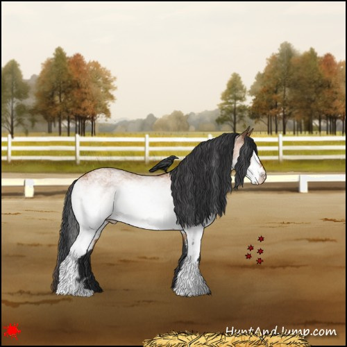 Horse Color:White Spotted Bay