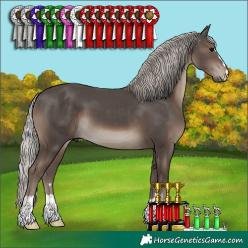 Horse Color:Silver Black 