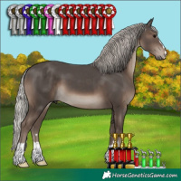 Horse Color:Silver Black 
