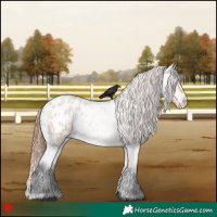 Horse Color:Bay Roan Dun Blanket