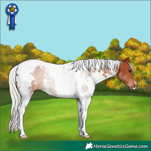 Horse Color:White Spotted Silver Brown Tobiano Rabicano 