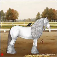 Horse Color:White Spotted Bay Dun Appaloosa