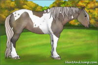 Horse Color:Silver Black Tobiano Rabicano
