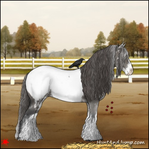 Horse Color:White Spotted Grullo Roan Snowcap