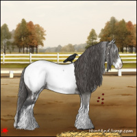 Horse Color:White Spotted Grullo Roan Snowcap