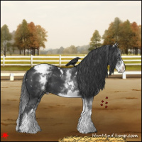 Horse Color:White Spotted Black Varnish