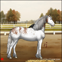 Horse Color:White Spotted Silver Bay Splash Appaloosa 