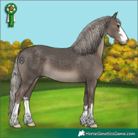 Horse Color:Silver Black 