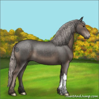 Horse Color:Silver Black 