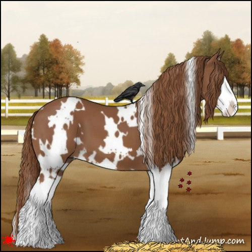 Horse Color:White Spotted Chestnut Splash 
