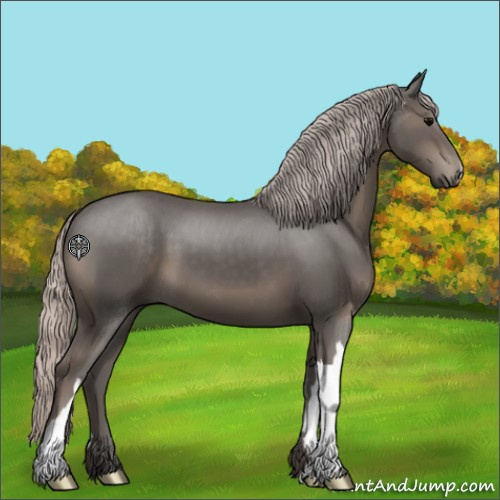 Horse Color:Silver Black