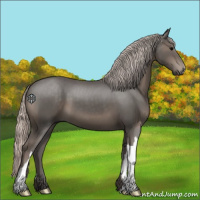 Horse Color:Silver Black 