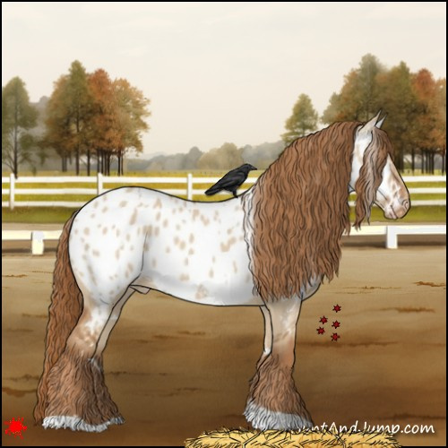 Horse Color:White Spotted Red Dun Near Leopard