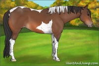 Horse Color:Bay Tobiano Varnish 