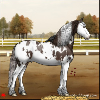 Horse Color:White Spotted Liver Chestnut Splash Near Leopard 