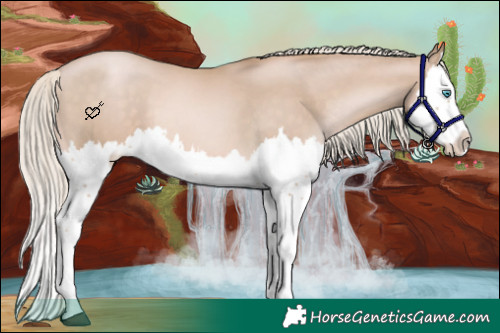 Horse Color:Chocolate Palomino Pearl Splash