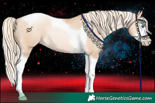 Horse Color:Gold Cream Champagne Pearl Splash Tobiano 