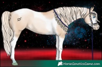 Horse Color:Gold Cream Champagne Pearl Splash Tobiano