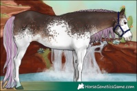 Horse Color:Painted White Spotted Silver Brown 