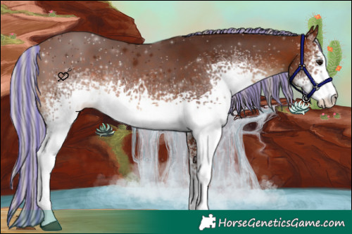 Horse Color:Painted White Spotted Silver Brown 