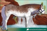 Horse Color:Painted White Spotted Silver Brown 