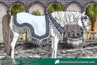 Horse Color:Sable Champagne Roan Appaloosa Rabicano 