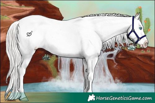 Horse Color:Silver Buckskin Pearl Dun Near Leopard