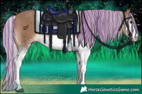 Horse Color:Painted White Spotted Silver Bay Dun 