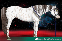 Horse Color:Sable Champagne Roan Near Leopard Rabicano