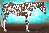 Horse Color:Silver Brown Roan Leopard