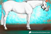 Horse Color:Gray Silver Classic Champagne Appaloosa 