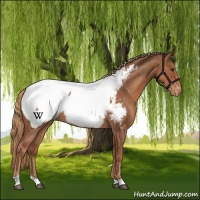 Horse Color:Red Roan Near Fewspot 