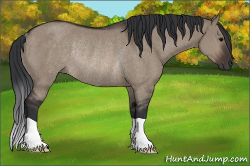 Horse Color:Brown Dun Rabicano 
