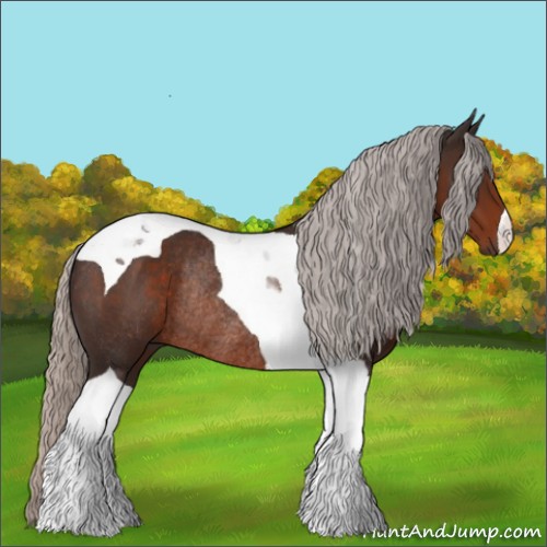 Horse Color:Silver Brown Tobiano Rabicano 