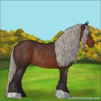 Horse Color:Silver Brown Rabicano 