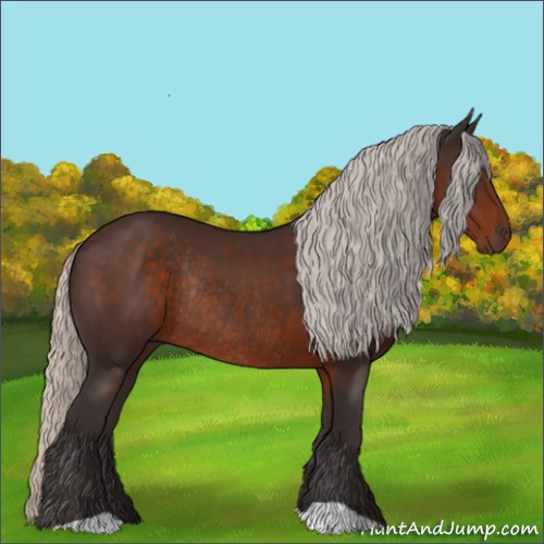 Horse Color:Silver Brown Rabicano