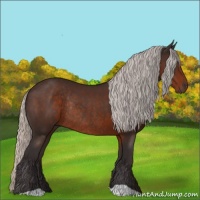 Horse Color:Silver Brown Rabicano 