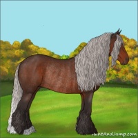 Horse Color:Silver Brown Rabicano 