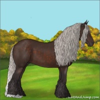 Horse Color:Silver Brown 