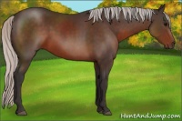 Horse Color:Silver Brown 