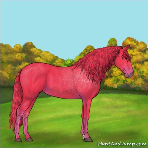 Horse Color:Watercolor Liver Chestnut