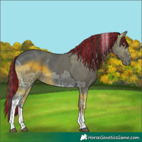 Horse Color:Painted Liver Chestnut Ice Tobiano 