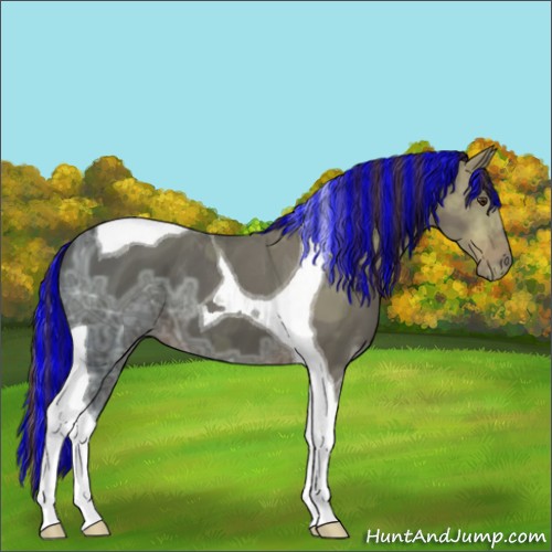 Horse Color:Painted Liver Chestnut Ice Tobiano